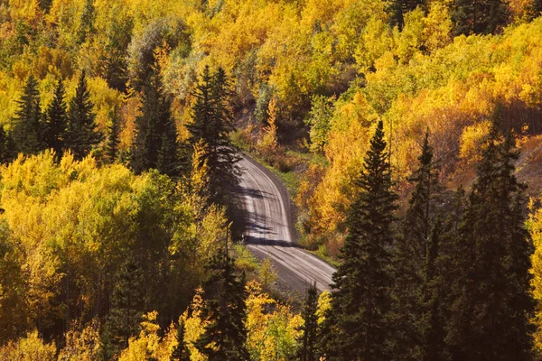 Outono árvores coloridas ao longo da estrada de montanha na Colúmbia Britânica — Fotografia de Stock