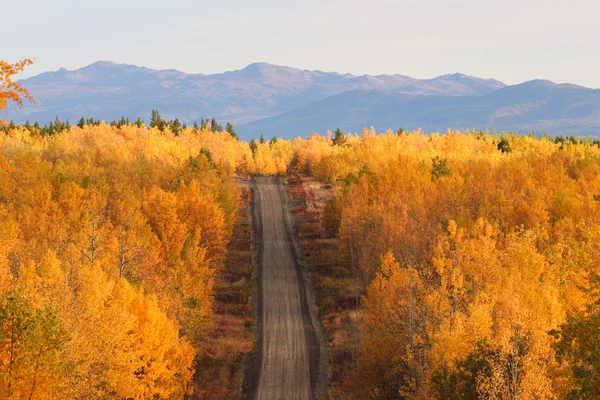 Hösten färgade träd längs vägen i british columbia — Stockfoto