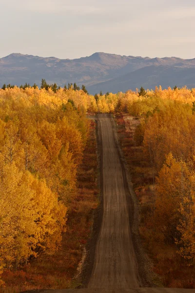 Autumn colored trees along road in British Columbia — Stock Photo, Image