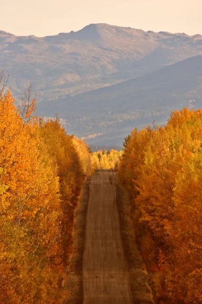 Φθινόπωρο Χρωματισμένα Δέντρα Κατά Μήκος Δρόμο Στην British Columbia — Φωτογραφία Αρχείου