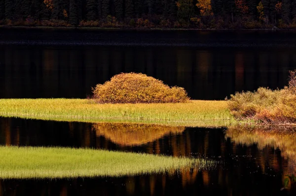 Vatten reflektioner under hösten — Stockfoto