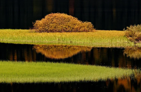 秋の水の反射 — ストック写真