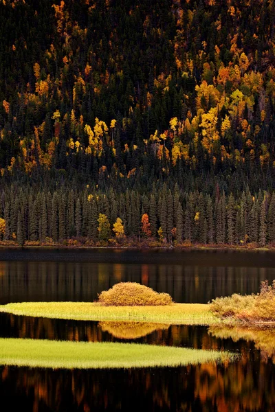 Wasserspiegelungen Herbst — Stockfoto