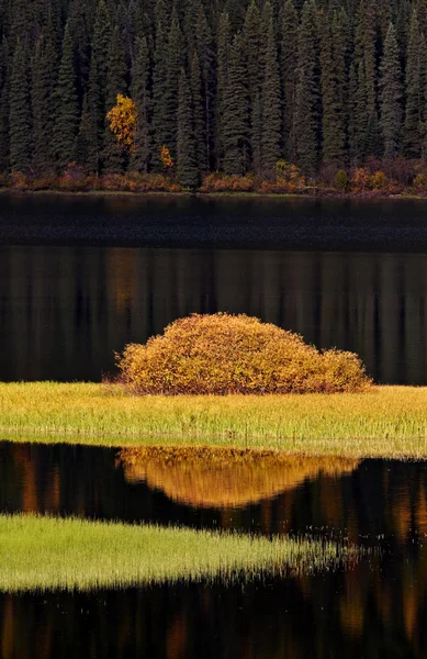 Reflexões de água no outono — Fotografia de Stock