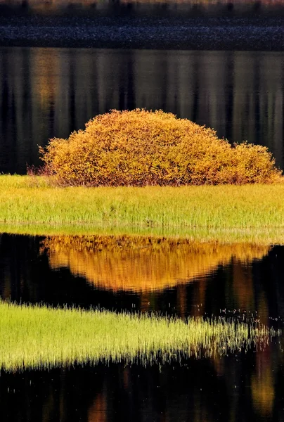 Wasserspiegelungen im Herbst — Stockfoto