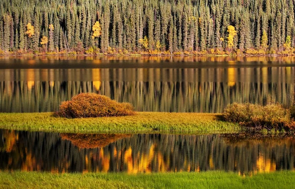 Odrazy Vody Podzim — Stock fotografie