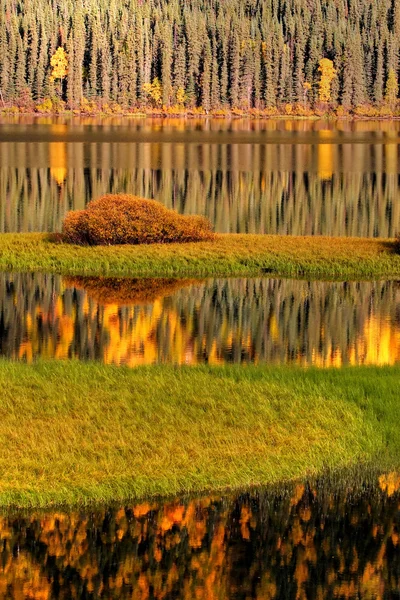 Vatten Reflektioner Hösten — Stockfoto
