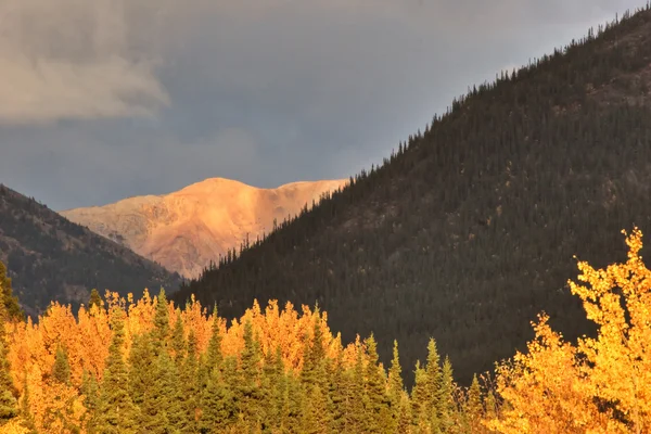 Bergslandskapet British Columbia Hösten — Stockfoto