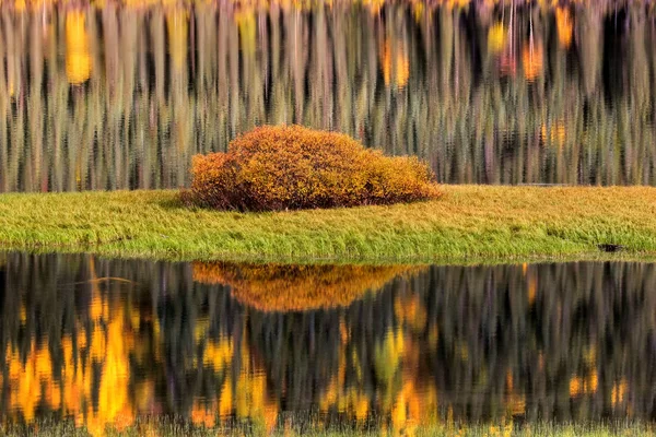 Wasserspiegelungen Herbst — Stockfoto