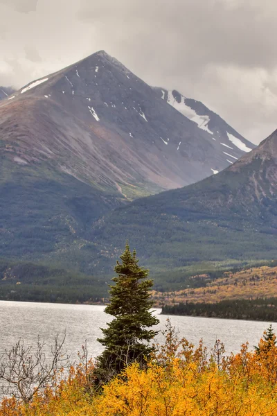 Lago Montaña Columbia Británica Otoño —  Fotos de Stock