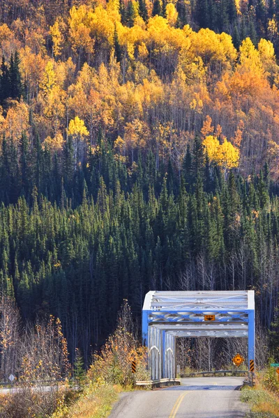 桥和不列颠哥伦比亚省秋季多彩树 — 图库照片