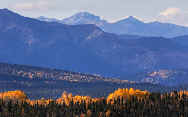 Montanhas e árvores coloridas durante o outono da Colúmbia Britânica — Fotografia de Stock