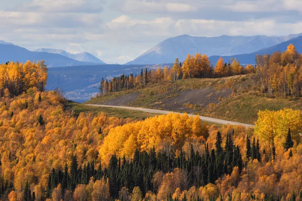 Road View Rocky Mountains — Stock Photo, Image