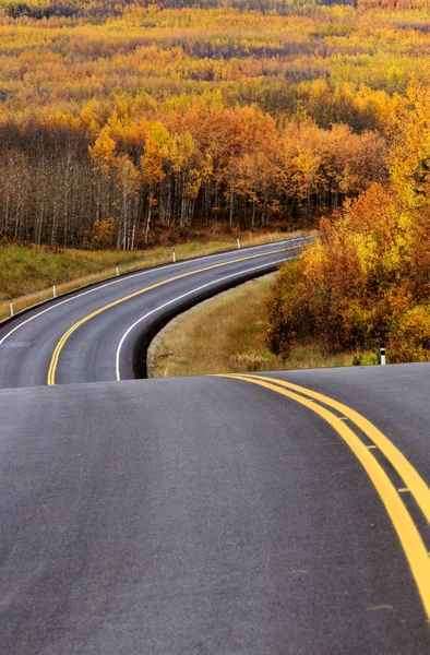 Auto-estrada se aproximando floresta de Aspen na Colúmbia Britânica — Fotografia de Stock