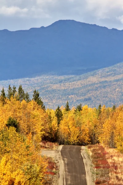 Kolorowy las wzdłuż british columbia backroad — Zdjęcie stockowe