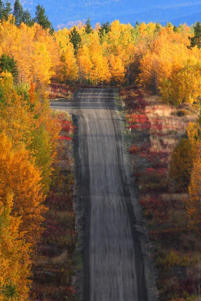Autumn trees along British Columbia road — Stock Photo, Image