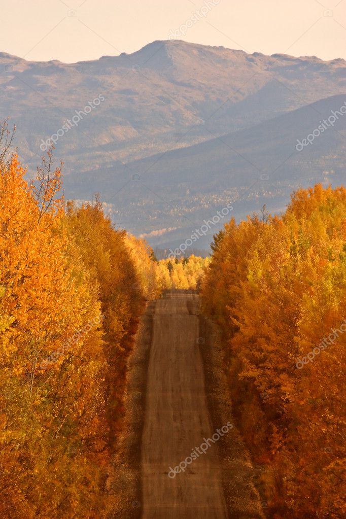 Autumn Trees Along Columbia Road Autumn Colored Trees Along Road In Columbia
