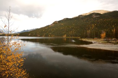 Skeena River during British Columbia autumn clipart