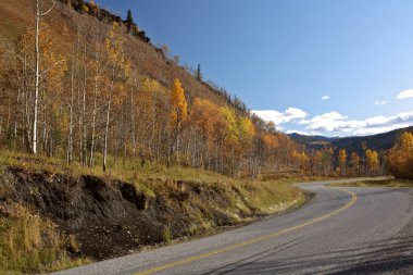 kavak ağaçları sonbahar boyunca alaska highway british Columbia