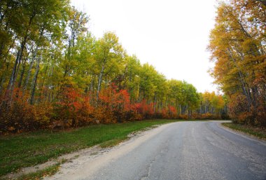 geyik meadow lake park saskatchewan Road