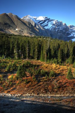 rocky Dağları boyunca icefields parkway görünümünü