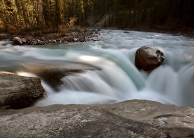 jasper national park sunwapta düşer