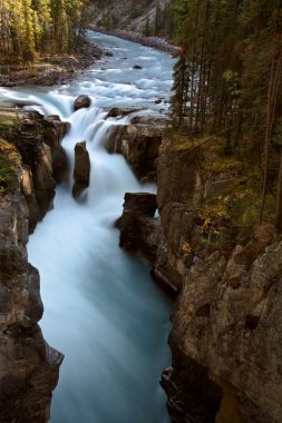 Sunwapta Falls in Jasper National Park clipart