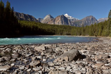 Athabasca nehir jasper national Park