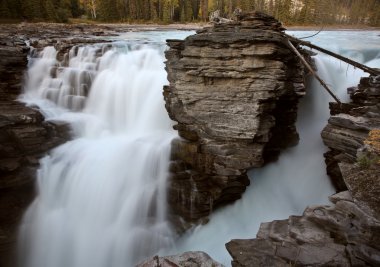 Jasper Ulusal Parkı 'nda Athabasca Şelalesi