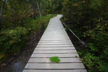 british columbia Boardwalk için backguard düşer