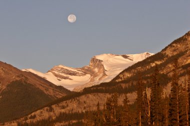 Dolunay üzerinde dağ icefield