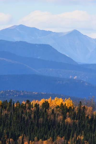 Осінь в горах Британської Колумбії — стокове фото