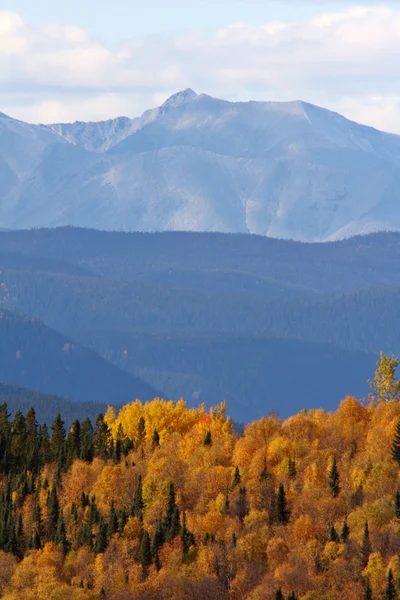 Outono na Colúmbia Britânica montanhas — Fotografia de Stock