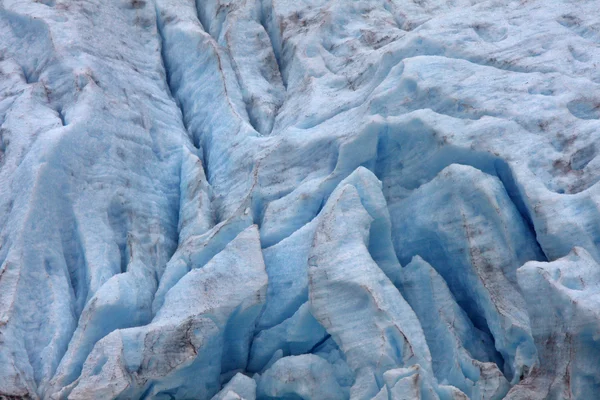 Icefield Bear Glacier National Park Nella Columbia Britannica — Foto Stock