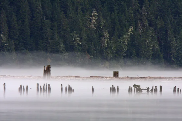 Stewart British Columbia Değirmen — Stok fotoğraf