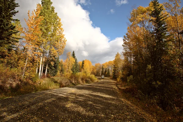 Nuvens e folhas de outono ao longo da estrada de fundo da Colúmbia Britânica — Fotografia de Stock