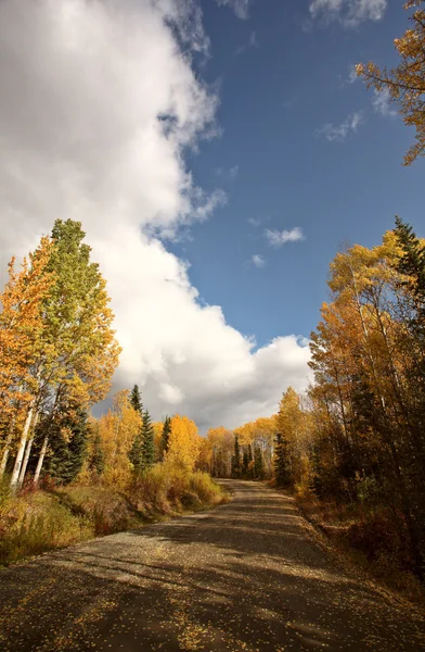 Moln Och Hösten Lämnar Längs British Columbia Backroad — Stockfoto
