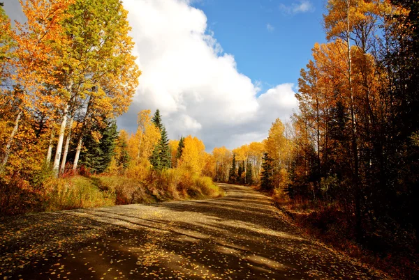 Облака Осенние Листья Вдоль Задней Дороги Британской Колумбии — стоковое фото
