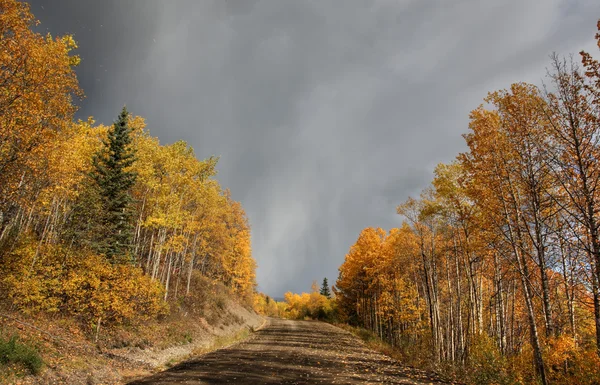 Clouds and autumn leaves along British Columbia backroad — Stock Photo, Image