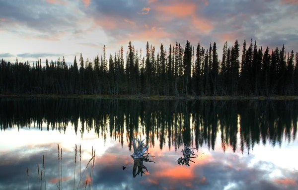 Reflexiones Fuera Del Estanque Columbia Británica —  Fotos de Stock