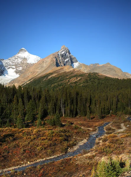 Weergave van de rocky mountains langs icefields parkway — Stockfoto