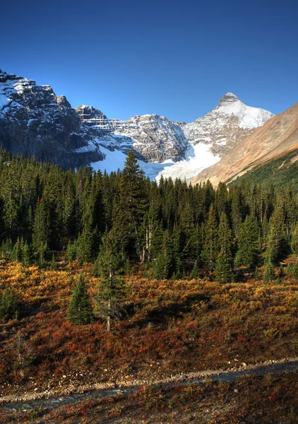 View Rocky Mountains Icefields Parkway — Stock Photo, Image