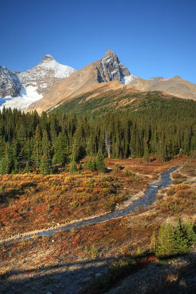 View of the Rocky Mountains along Icefields Parkway — Stock Photo, Image