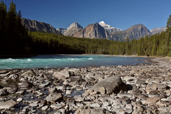 Athabasca River in Jasper National Park — Stock Photo, Image