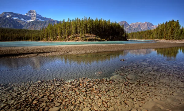Athabasca Rzeki Parku Narodowym Jasper — Zdjęcie stockowe