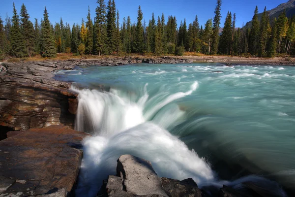 Athabasca Falls Het Jasper National Park — Stockfoto