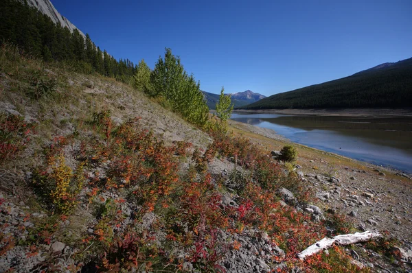Medicine Lake Jasper National Park — Stockfoto