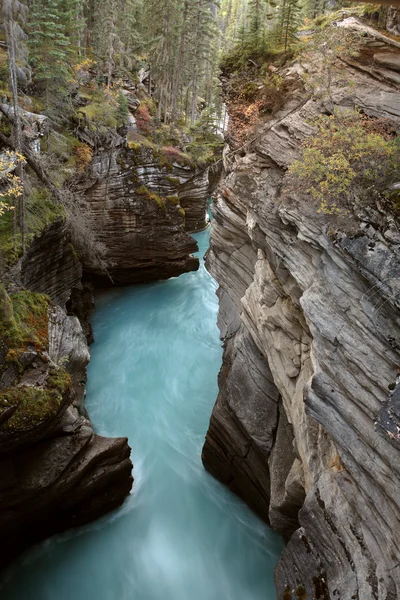 Gola Athabasca Falls Nel Jasper National Park — Foto Stock