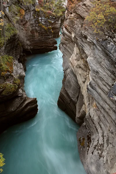 Soutěska na athabasca vodopády v národním parku jasper — Stock fotografie