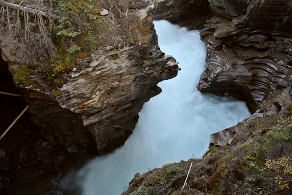 Garganta en Athabasca Falls en el Parque Nacional Jasper — Foto de Stock
